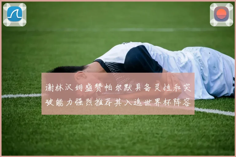 谢林汉姆盛赞帕尔默具备灵性和突破能力强烈推荐其入选世界杯阵容